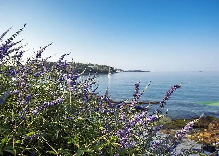 Διαμέρισμα Anamarija *